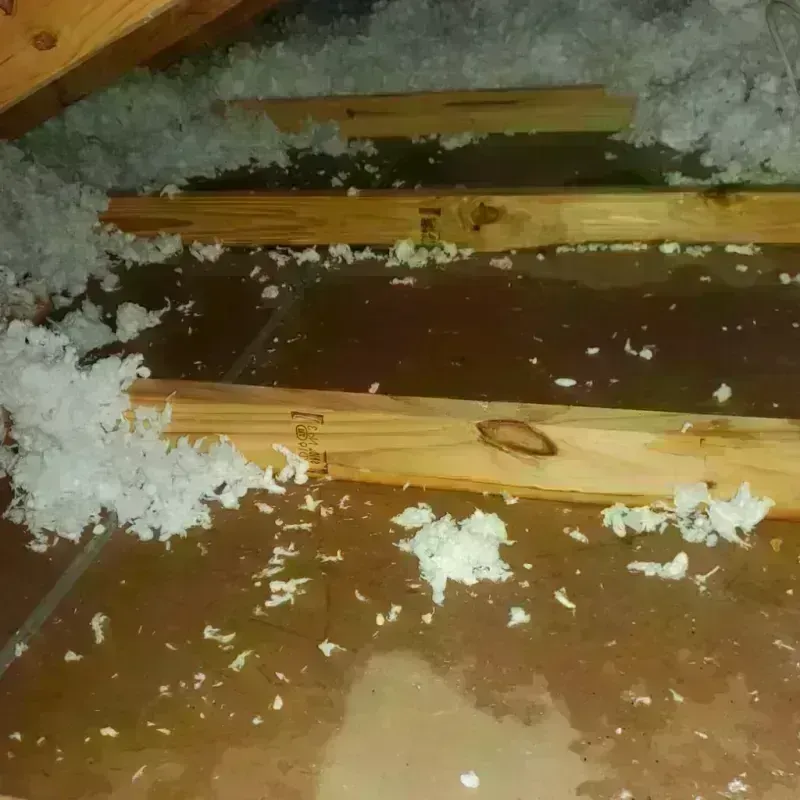 Attic Water Damage in Bethany, WV