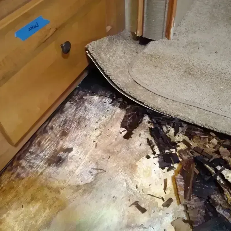 Wood Floor Water Damage in Bethany, WV